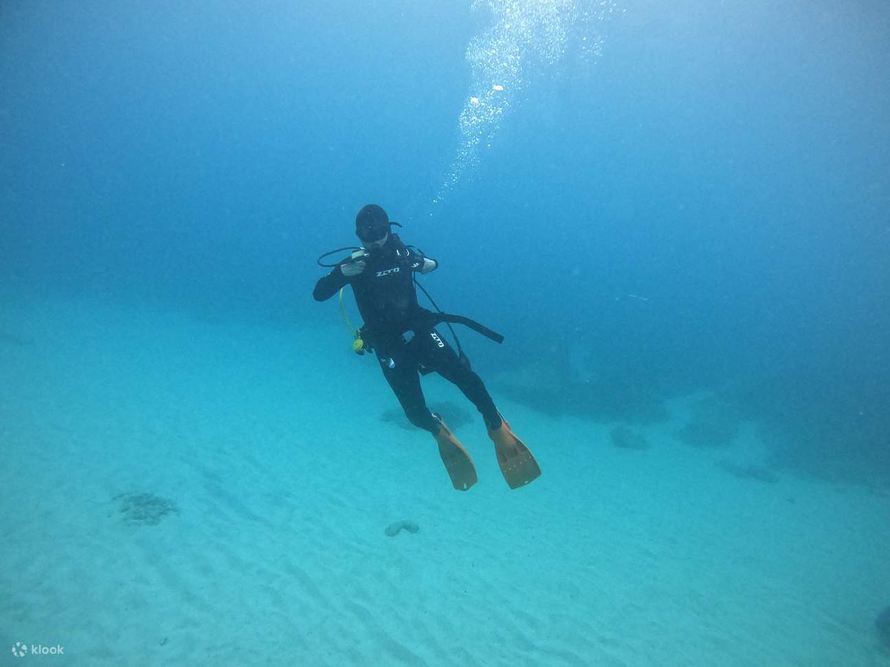 東北海岸OW、AOWダイビングライセンス体験